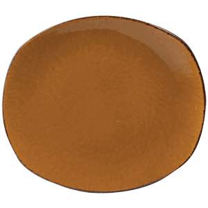 Тарелка мелкая овальная «Террамеса мастед»; материал: фарфор; высота=3, длина=30.5, ширина=26 см.; светло-коричневая