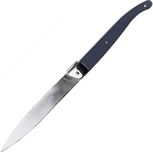 Нож для стейка; сталь нержавейка,пластик; L=11/22.5,B=1.5см; синий