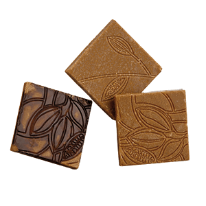 Форма для шоколада «Какао»; длина=27.5, ширина=13.5 см.