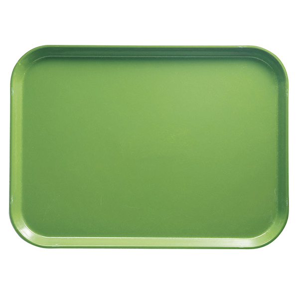 Поднос; стеклопластиковый; L=33,B=43см; зеленый 