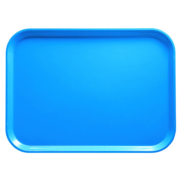 Поднос; стеклопластиковый; L=33,B=43см; голубой