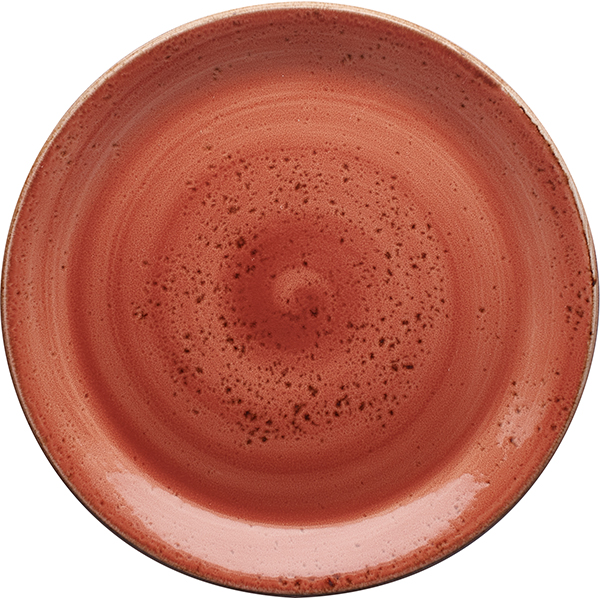 Тарелка мелкая «Крафт»; материал: фарфор; диаметр=25.2 см.; терракот
