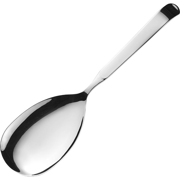 Ложка столовая «Астра» (6 шт.)   сталь нержавеющая  Pintinox