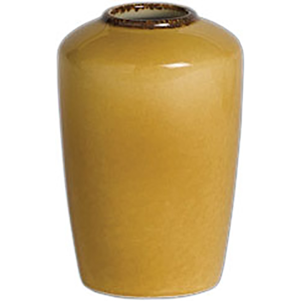 Ваза для цветов «Террамеса мастед»  материал: фарфор  диаметр=65, высота=100 мм Steelite